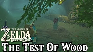 The Test Of Wood Shrine Quest Guide amp Maag Halan Shrine Location  LoZ Breath Of The Wild [upl. by Backler]