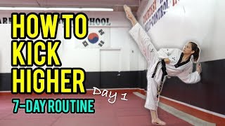 How to Kick Higher Stretches amp Drills Day 1 Routine [upl. by Blackmun511]