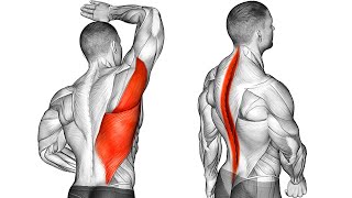 These 5 Exercises Will Improve Your Posture [upl. by Corvin]