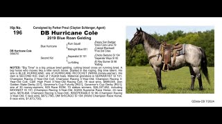 Pitzer Ranch Fall Sale 2024 DB HURRICANE COLE [upl. by Antipas]