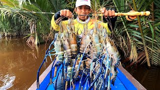 Mancing udang galah dengan 2 jenis umpan Luar biasa mantap hasilnya [upl. by Dulcine]