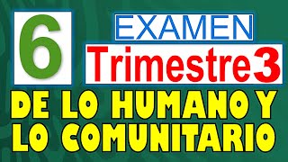 Preguntas de Examen DE LO HUMANO A LO COMUNITARIO 2024  6to Grado TRIMESTRE 3 [upl. by Alyos]