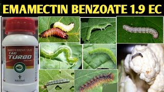 Emamectin Benzoate 19EC Emamectin Benzoate 19EC insecticide Tropical Tag Turbo plus insecticid [upl. by Haggerty]