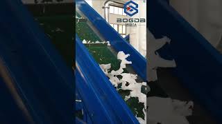 HDPE Plastic Recycling Shredding and Crushing Machine with High Capacity [upl. by Henri86]