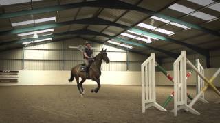 Behind The Scenes of Showjumping  Excelling Under Pressure [upl. by Mairb89]