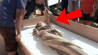 10 REAL LIFE MERMAIDS Caught On Camera [upl. by Marras]