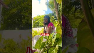 Shalala shalala song love tamil tamilsong music singapennae tamilmusic travel [upl. by Varden831]