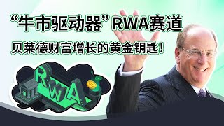 解锁RWA赛道：贝莱德增投牛市关键领域｜机构财富秘籍全解析 [upl. by Ydnat883]