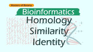 Homology Similarity and Identity  Bioinformatics [upl. by Yraht790]