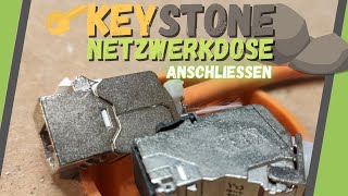 Keystone Netzwerkdose ▶ DAS musst Du beim Anschließen beachten [upl. by Ethbinium628]