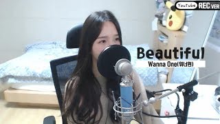 Wanna One워너원  Beautiful COVER by 새송｜SAESONG [upl. by Cressi]