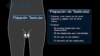 🌟EXAMEN FÍSICO GENITAL DEL PREESCOLAR🌟 [upl. by Elon]