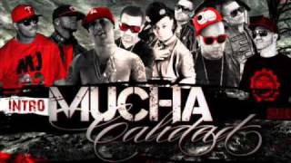 Mucha Calidad IntroPacho amp Cirilo Ft Ñengo Flow Nova amp Jory Wibal amp Alex Franco El Gorila [upl. by Notsuj]