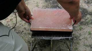 Cooking on a Himalayan Salt Stone [upl. by Yerfdog230]