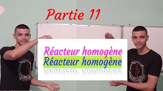 réacteur homogène partie 11 [upl. by Runkel]