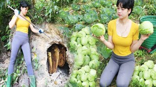 Harvesting cabbage to sell exploiting wild bees for honey catching stream fish to cook dinner [upl. by Frame]