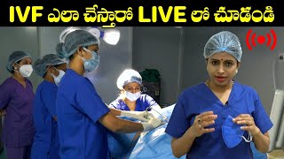 IVF ఎలా చేస్తారో LIVE లో చూడండి  IVF Step By Step Procedure  Dr Jyothi Fertility Expert  HQ [upl. by Fidelas]