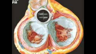 Animated Mechanical Aortic Valve [upl. by Sloan]