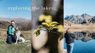 Loughrigg Fell Walking Guide [upl. by Stickney]