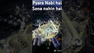 Pyara Nabi hai Sona Nabi hai Mera Nabi video bhalo Lage subscribe and like trending video short [upl. by Nauqas23]