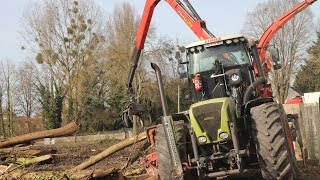 Déchiquetage de peupliers avec Claas Xerion 3800 [upl. by Tristam766]