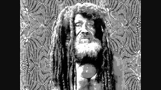 Roots Man Dub  Revolutionaries [upl. by Alleda438]