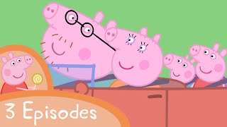 Peppa Pig  The family car compilation 3 episodes [upl. by Willin]