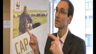 Interview with Sébastien Godinot WWF  The next CAP Reform [upl. by Fi432]