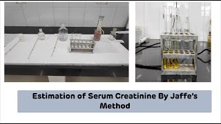 Estimation of Serum Creatinine By Jaffes Method on Colorimeter  Biochemistry Practical [upl. by Gans]