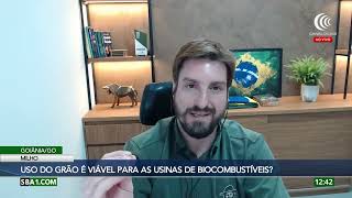 Mercado da soja com melhores preços dos últimos meses [upl. by Dan]