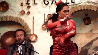 Sacromonte Flamenco in Granada [upl. by Smiley850]