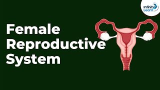 Female Reproductive System  Infinity Learn NEET [upl. by Jessika]