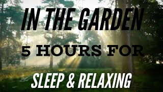 In The Garden  Beautiful hymn 5 Hours for Sleeping amp Relaxing [upl. by Kennard478]