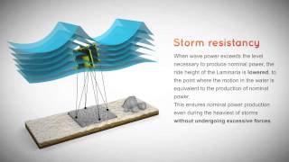 Laminaria Wave Energy Undeep Water version [upl. by Enyalb]