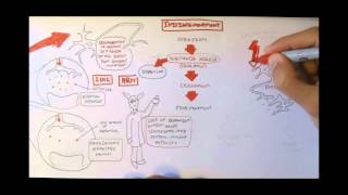 Neurodegenerative Disorder II  Parkinsons and Huntingtons [upl. by Nya243]