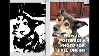 How to Posterize a Photo Online for Free without Photoshop [upl. by Eniale442]