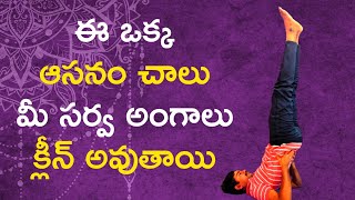 Sarvangasana  How To Do Sarvangasana In Telugu  Benefits Of Sarvangasana [upl. by Adnilahs]