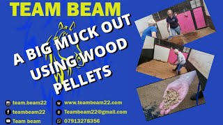 The Big Muck Out HOW TO USE WOOD PELLETS [upl. by Gabbey]