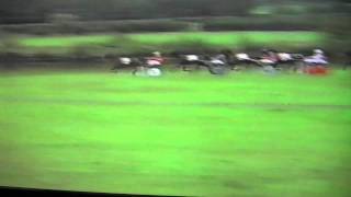 Heat 1 Tregaron Welsh Classic Horse Trotting Harness Race [upl. by Sanyu]