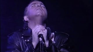 Lavilliers  Concert complet  Zénith mars 1989 [upl. by Yromem]