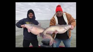 Lake Lewisville Fishing Report  Blue Catfish [upl. by Nahij573]