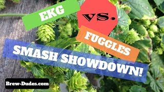 SMaSH Beer Showdown  East Kent Golding vs Fuggles [upl. by Herr]