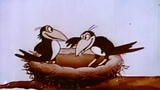 Heckle and Jeckle The Talking Magpies 1946  Classic Cartoon [upl. by Noicnecsa466]