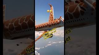 Brand new airlines flight ✈️ book now funny cute sky high yt ytshorts rare overload boxing [upl. by Anohr849]