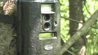 Moultrie Game Spy D55 IR 5MP IR Trail Camera [upl. by Craggie]