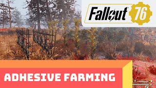 Fallout 76 Easy Unlimited Adhesive Farming Guide At Your CAMP Vegetable Starch [upl. by Salita290]