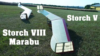 Lippisch Storch VIII Marabu  Storch V  scale RC flying wings  4K  2023 [upl. by Atiuqehs601]