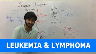 Leukemia  Overview  Classification [upl. by Shewmaker]