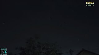 LIVE Leonids meteor shower observed with a Sony IMX 682 sensor [upl. by Nnaael]