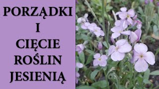 Jakich roślin NIE przycinać jesienią❌  Cięcie bylin  Za i przeciw sprzątaniu ogrodu na zimę 👩🏻‍🌾🌺😁 [upl. by Aneelehs214]